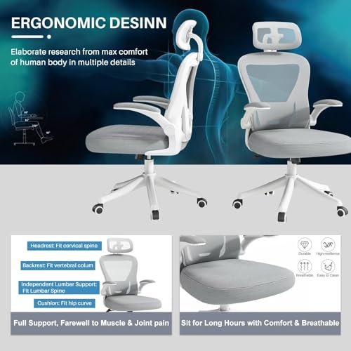 Ergonomic Office Chair M903 for Executive and Managerial Tasks