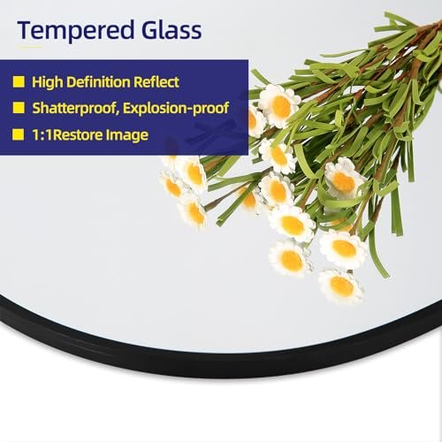 Oversized Black Arched Tempered Glass Full Body Mirror, 71x31