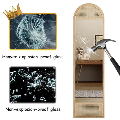 Honyee 65x15.7 Full-Length Cloakroom Mirror