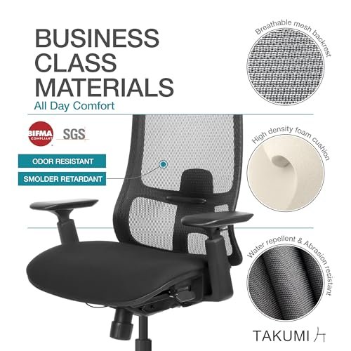 Takumi Ergonomic Mesh Office Chair with Lumbar Support